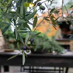 Il Casolare Delle Fiabe Вилла